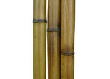 Ствол бамбука D 90-100мм обоженный