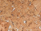 Hawai White Exclussive (600*300*3мм) RY-77-001